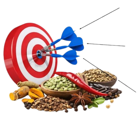 6481d797-fe3b-4b22-bf35-87a8fc379819-md-removebg-preview