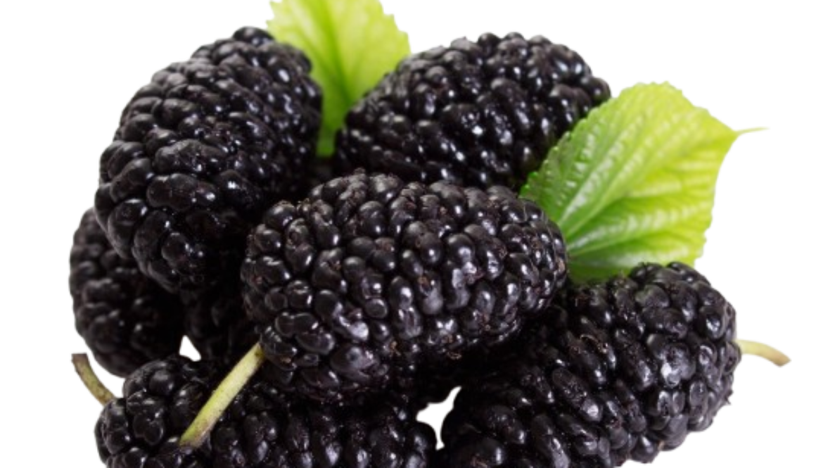 Frozen Mulberries