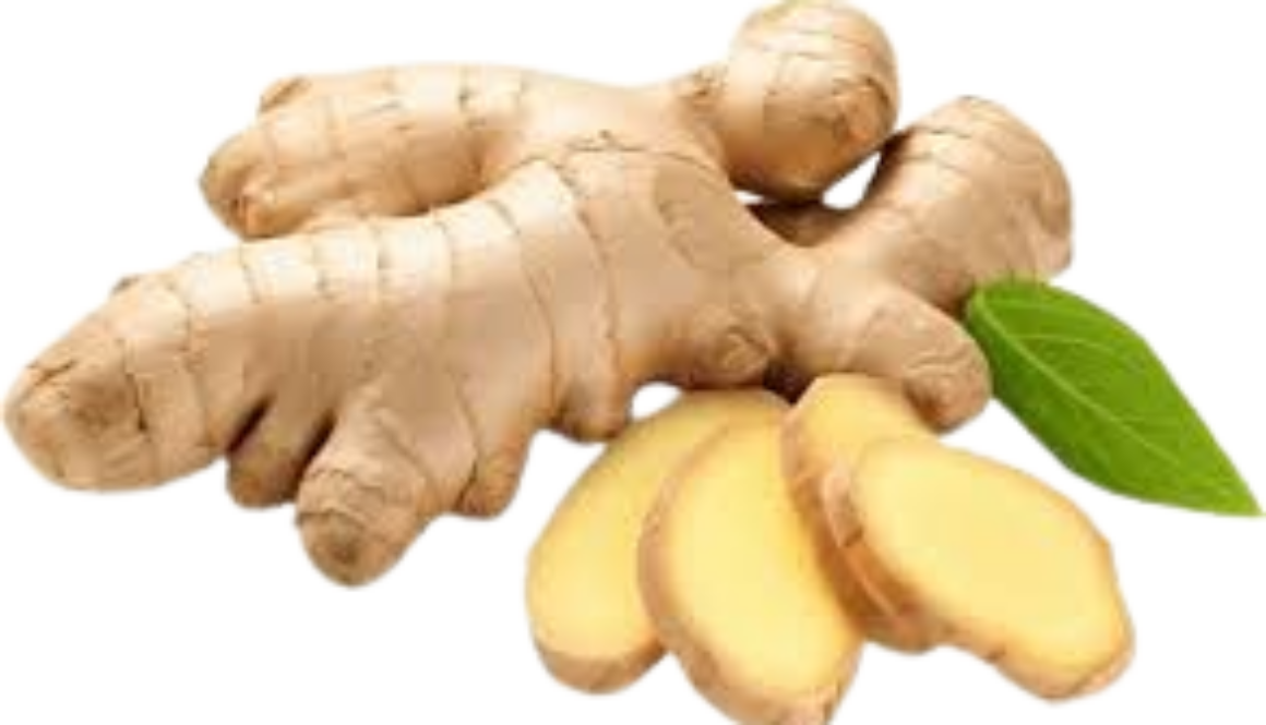 Ginger