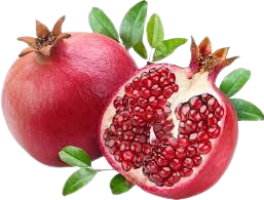 download__29_-removebg-preview