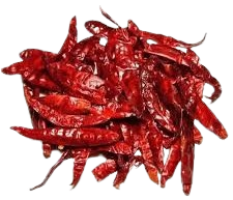 download__31_-removebg-preview