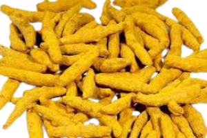 download__39_-removebg-preview