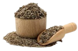 download__40_-removebg-preview