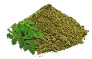 download__42_-removebg-preview