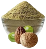 download__43_-removebg-preview