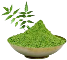 download__44_-removebg-preview