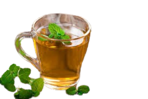 download__45_-removebg-preview