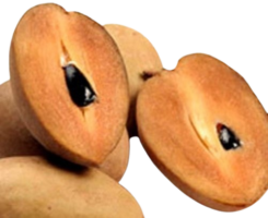 frozen-organic-sapodilla-fruit-f-removebg-preview