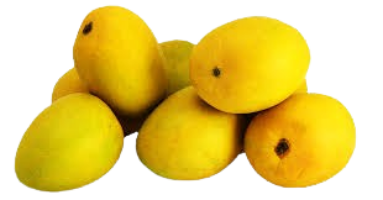 images__23_-removebg-preview