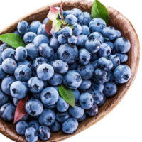 WhatsApp_Image_2026-01-08_at_12.32.24_PM-removebg-preview