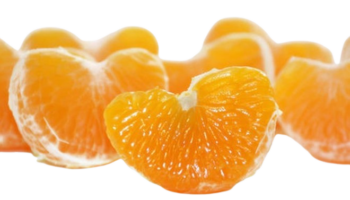 WhatsApp_Image_2026-01-23_at_2.58.07_PM-removebg-preview (1)